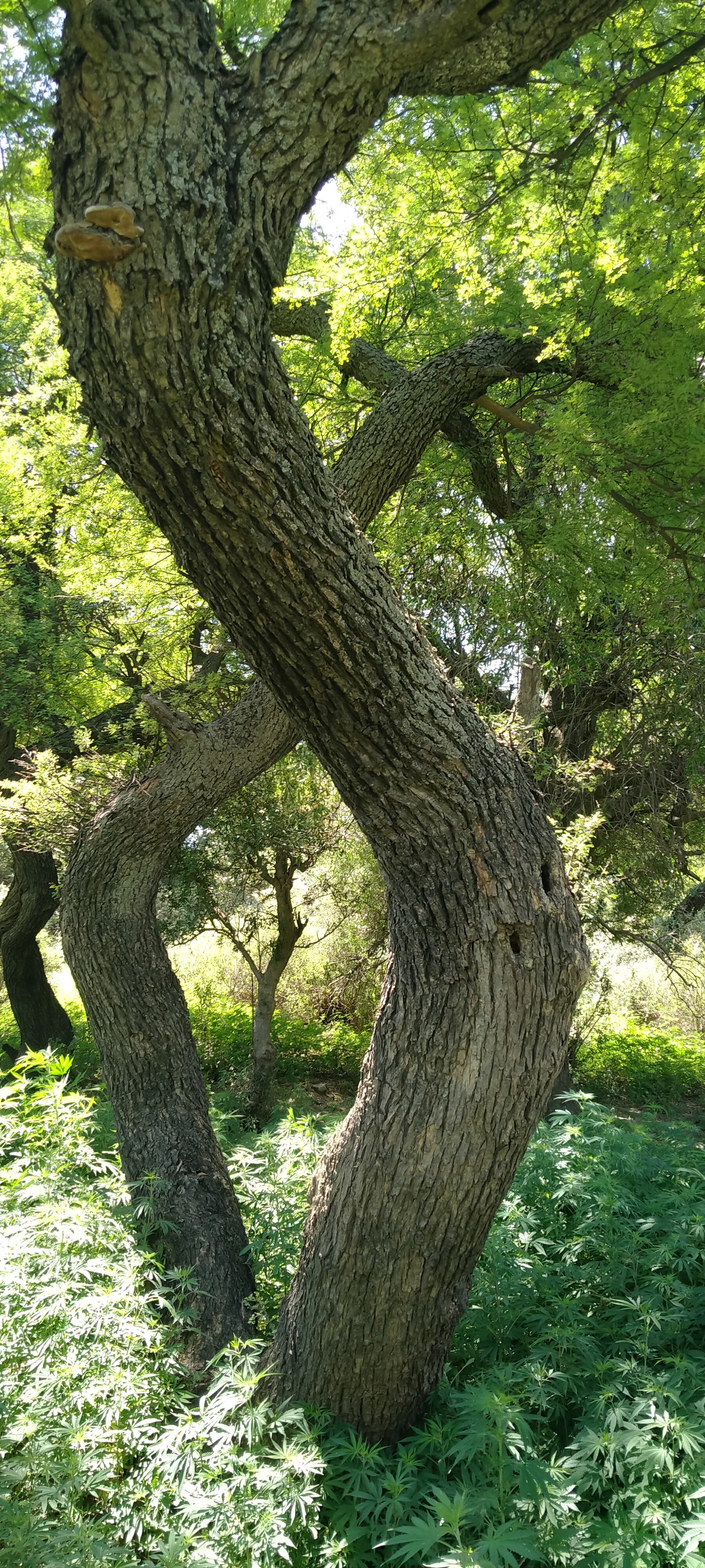 Travel Photo
